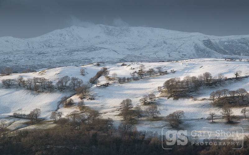 Snow and shadow, Arenig Fawr_GS131 - Snowdonia images