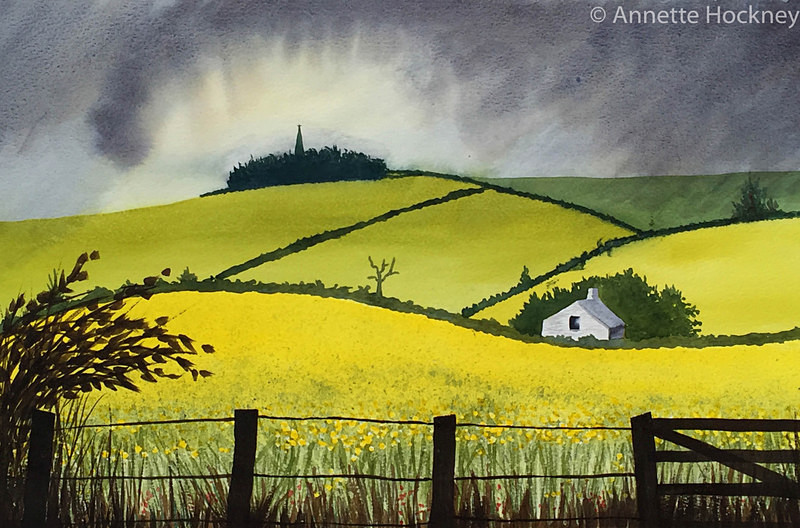 rapeseed in summer - Watercolour paintings