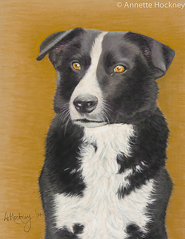 Austin - Animal and People Portraits
