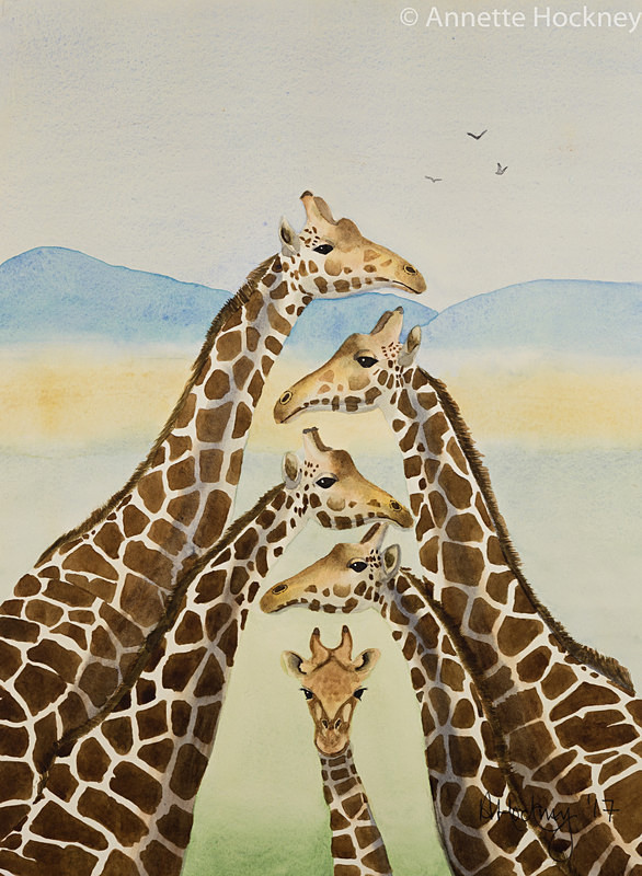 Giraffes - Watercolour paintings