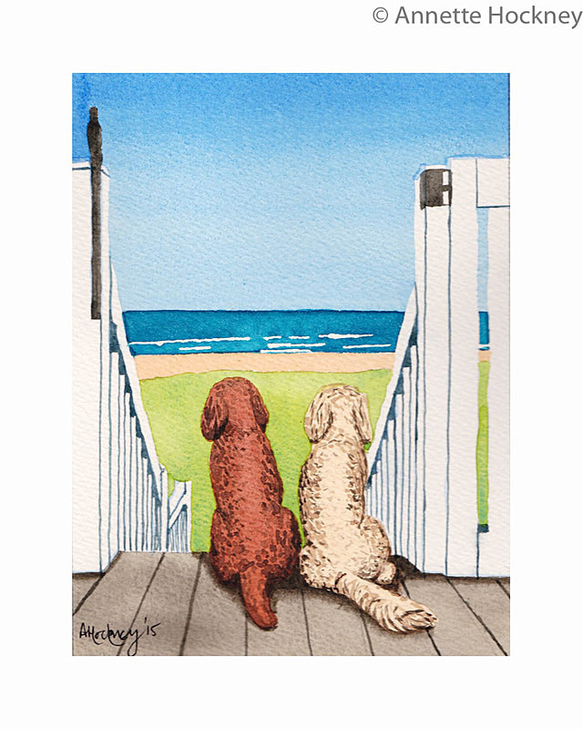 By the Beach - Animal and People Portraits