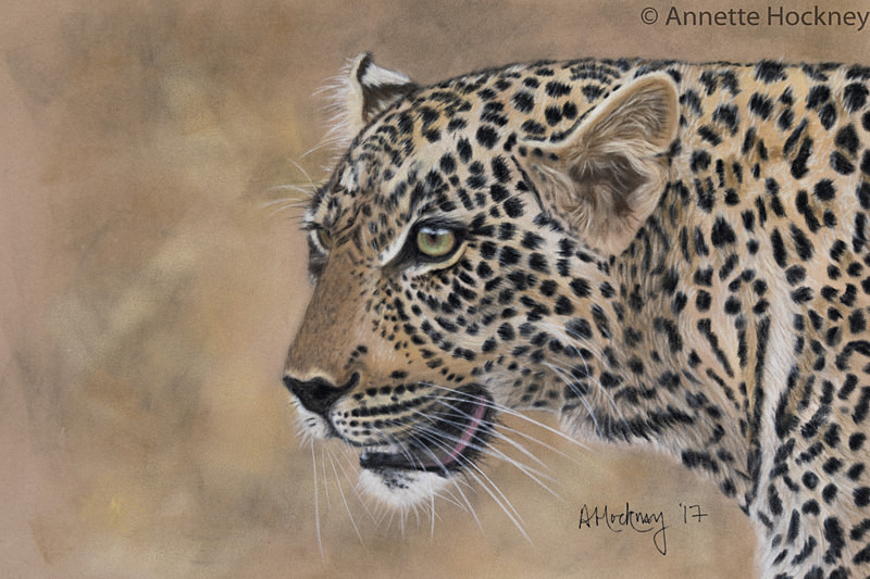 Leopard Portrait - Animal and People Portraits
