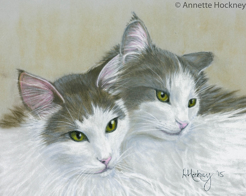 Thor and Loki - Animal and People Portraits