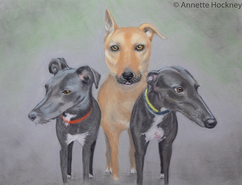 Sophie Scooby and Lucy - Animal and People Portraits