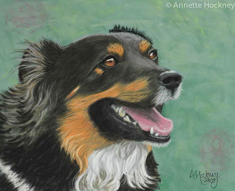 Chip - Animal and People Portraits