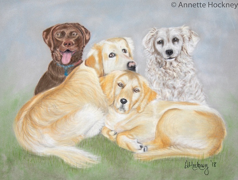Ted Tom Bud and Tess - Animal and People Portraits