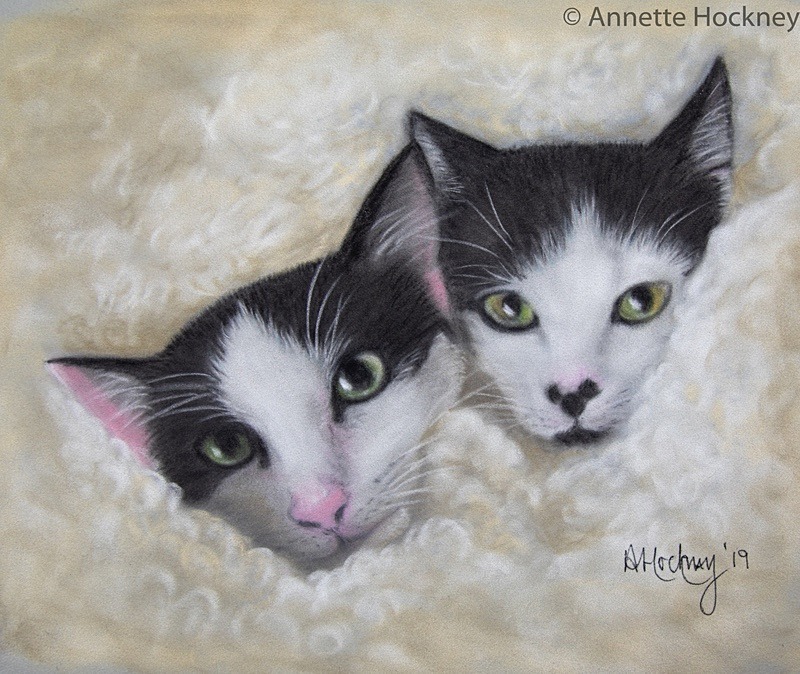 Two kittens on Their First Day - Animal and People Portraits
