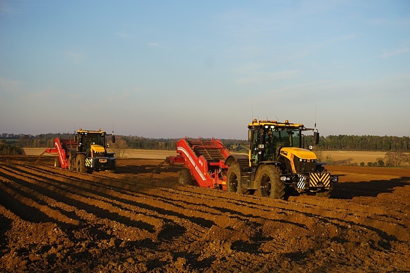 Tractor JCB
