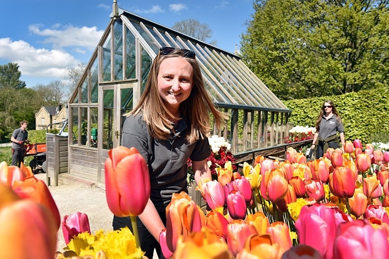 RHS Harlow Carr apprentice - Editorial & publications