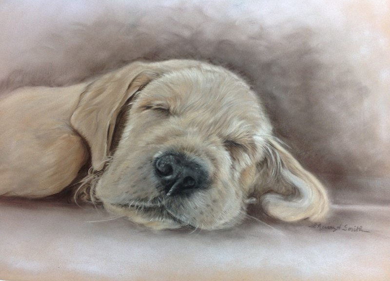 'Sweet Dreams' - Sharon Smith - Resident Artist