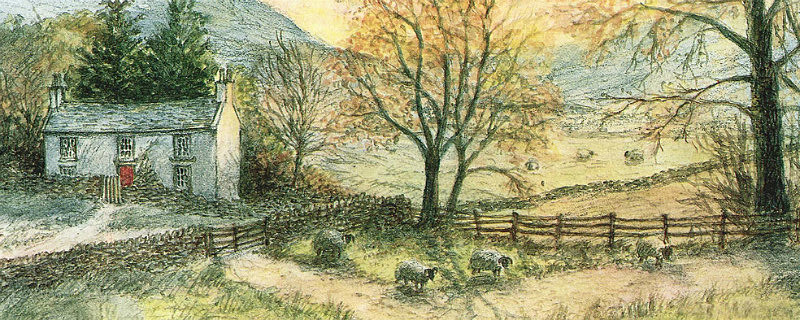 Low farm - General Landscapes: Rectangle Prints