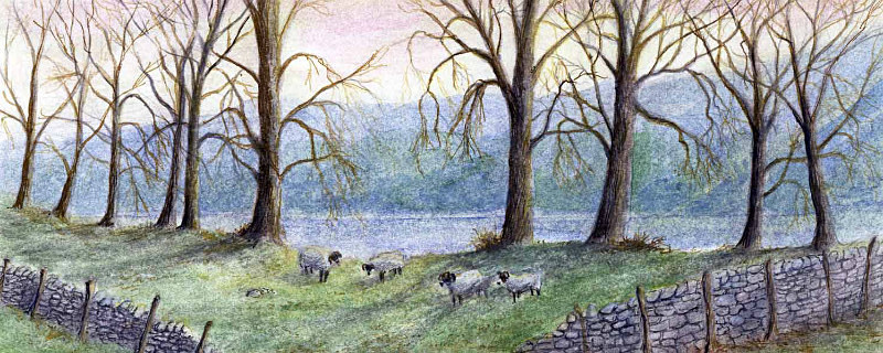 By the lake - Lake District Landscapes: Rectangle Prints
