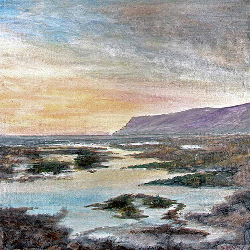 Robin Hood's Bay Rockpools - Yorkshire Landscapes: Square Prints