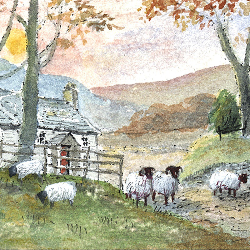 Sheep at Evening - General Landscape: Square Prints