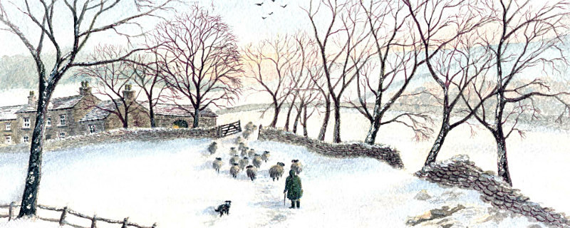 Sheep Snow - General Landscapes: Rectangle Prints