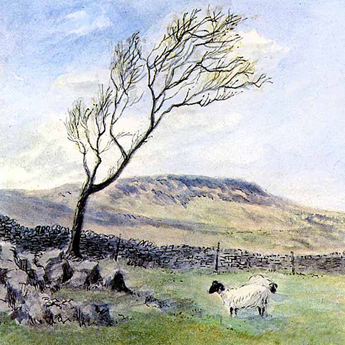 Whernside - Yorkshire Landscapes: Square Prints