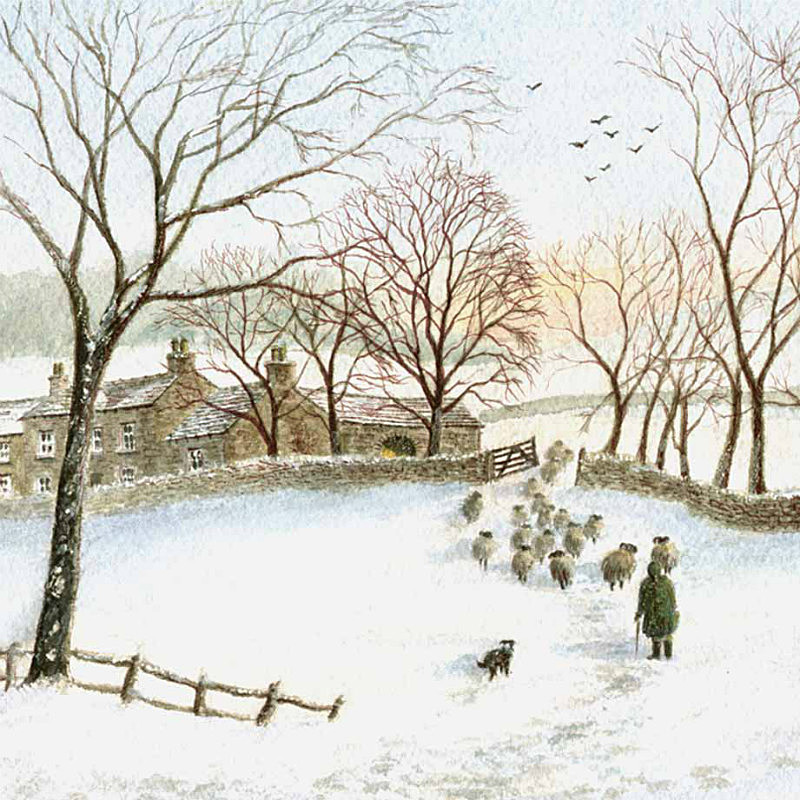 Sheep in Snow - General Landscape: Square Prints