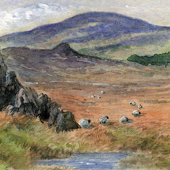 The Cheviot - Northumberland Landscapes: Square Prints