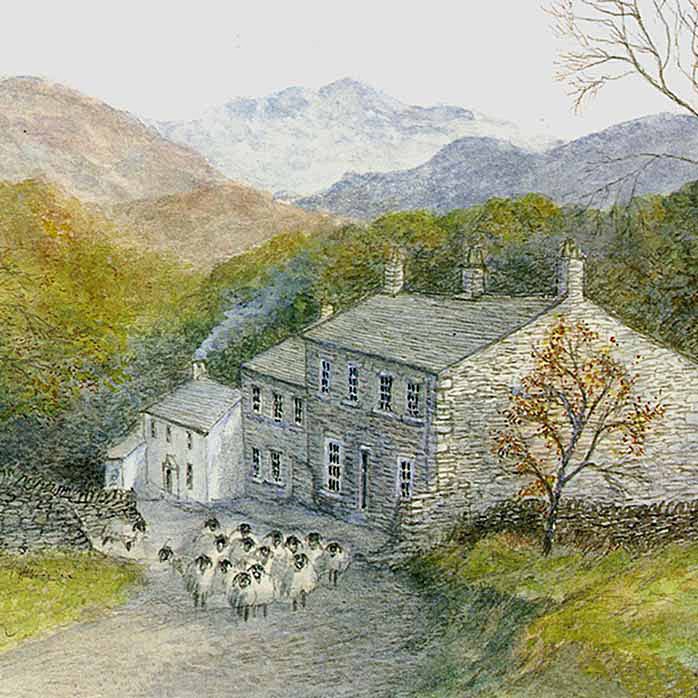 Borrowdale - Lake District Landscapes: Square Prints