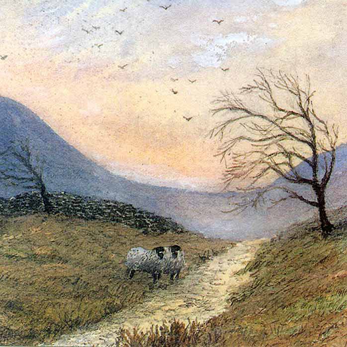 Hill Track - General Landscape: Square Prints