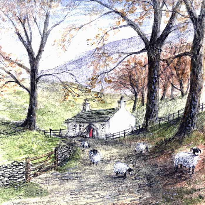 Sheep in Lane - General Landscape: Square Prints