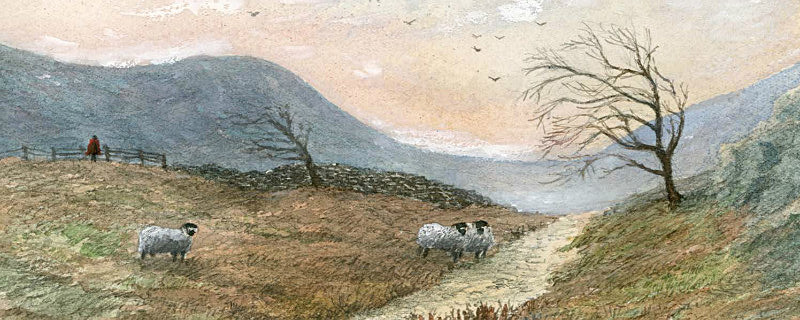 Hill Track - General Landscapes: Rectangle Prints