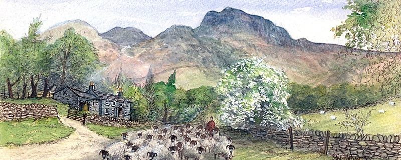 Langdale Farm - Lake District Landscapes: Rectangle Prints