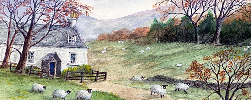 Sheep grazing - General Landscapes: Rectangle Prints