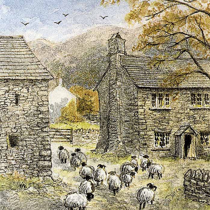 Sheep Farm - General Landscape: Square Prints