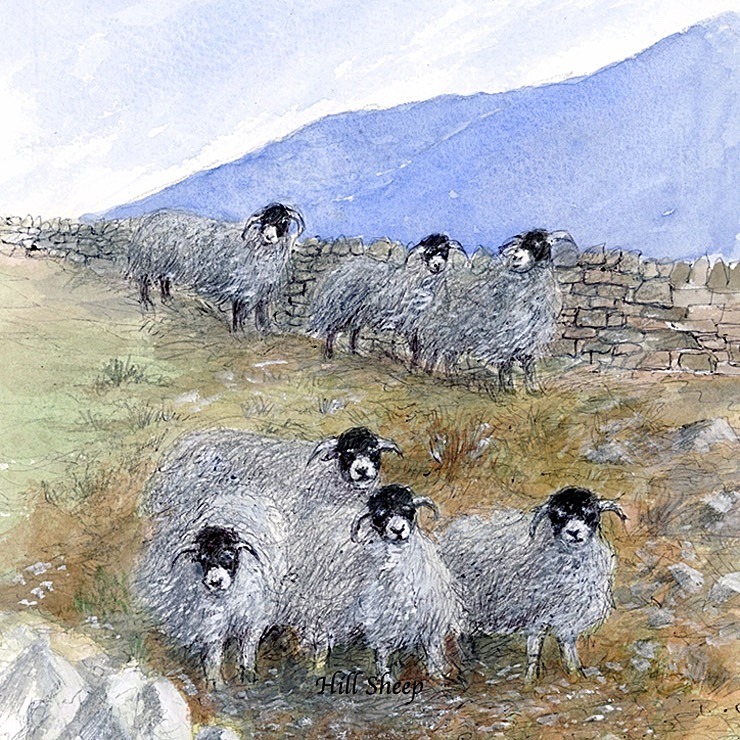 Sheep on the Hill - General Landscape: Square Prints