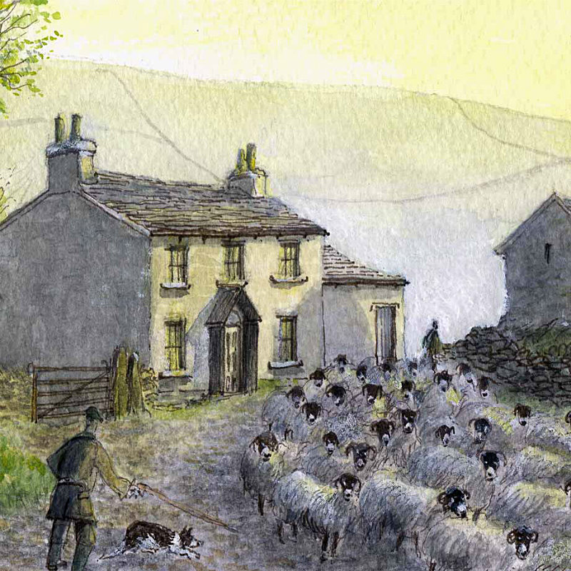 Home Farm - General Landscape: Square Prints