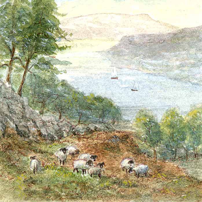 Windermere Sheep - Lake District Landscapes: Square Prints