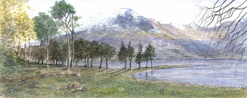 Buttermere Pines - Lake District Landscapes: Rectangle Prints