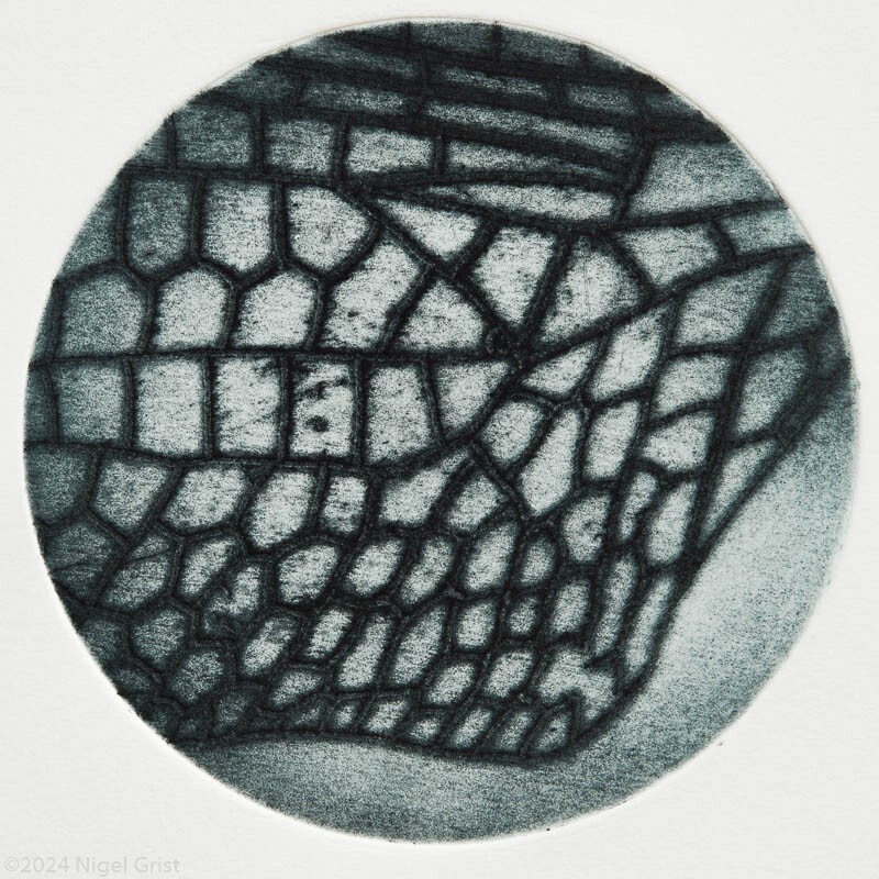  - Collagraph