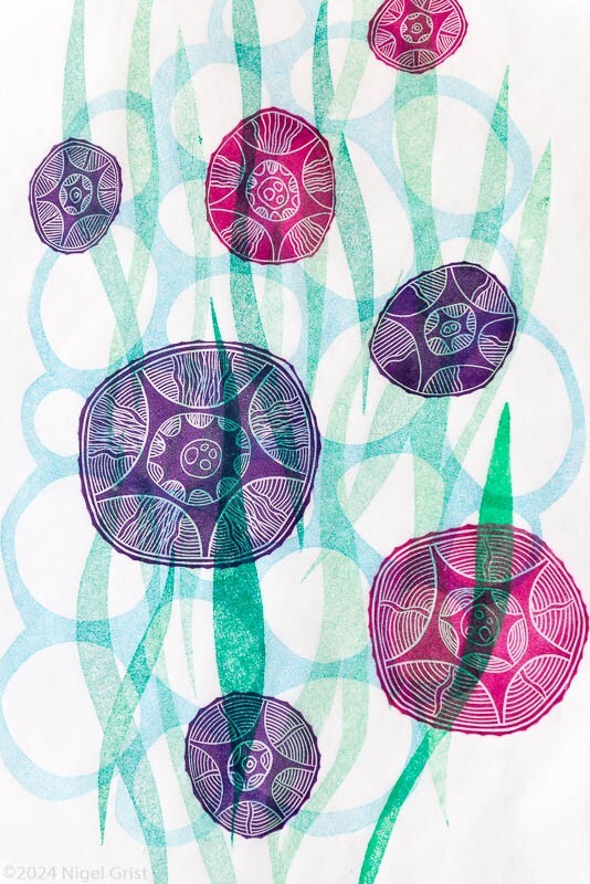  - Collagraph