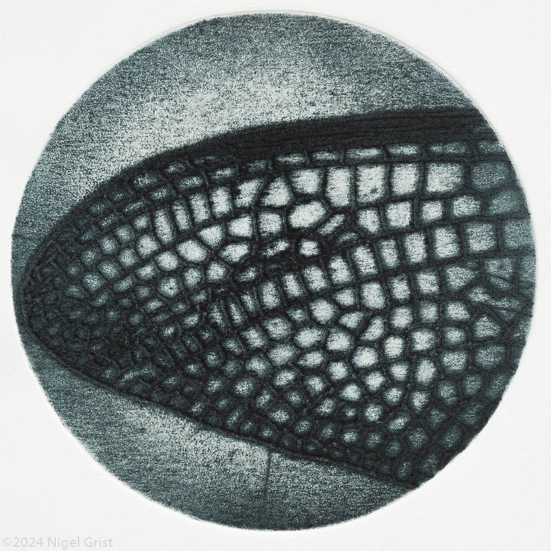  - Collagraph