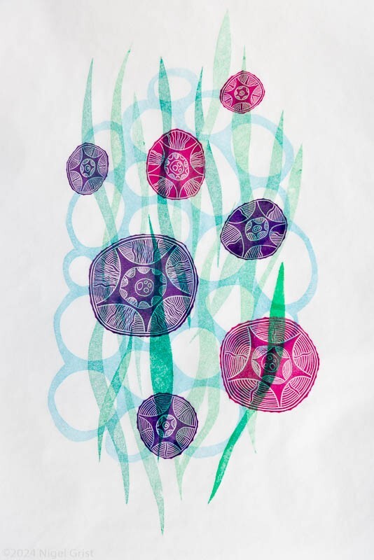  - Collagraph