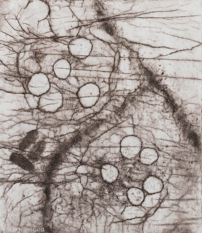  - Collagraph