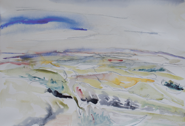 Cheviots from Helm Plantation July - 2024
