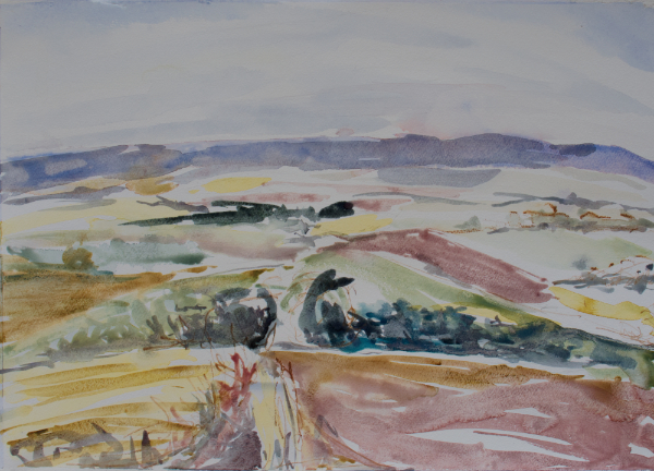 Cheviots from Helm Plantation Autumn - 2024