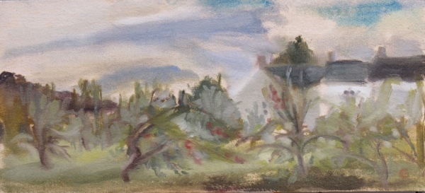 Dunkeld Orchard I - 2017