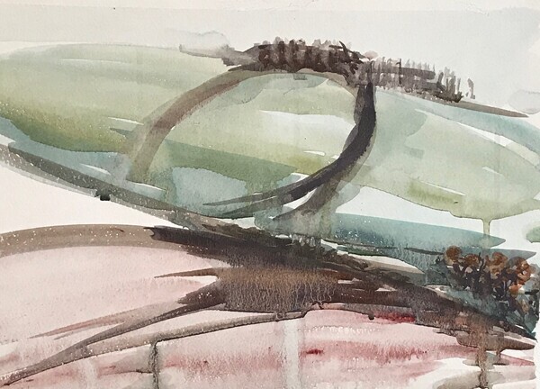 Leaderfoot abstract - 2020