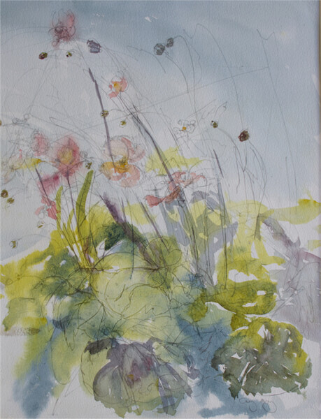 Japanese Anemones - 2013