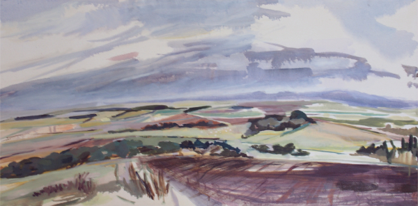Cheviots from Helm Plantation October - 2024