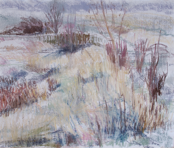 Wild garden in March - New paintings