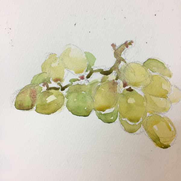 bunchofgrapes600 - 2017