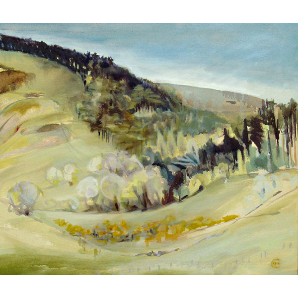 Bonaly hill 600 - 2016