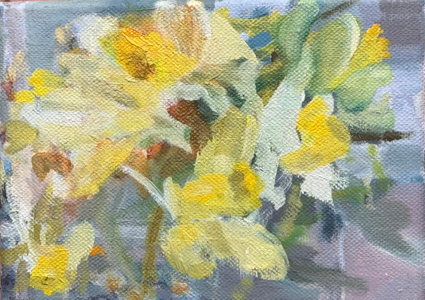 Daffodils - 2026