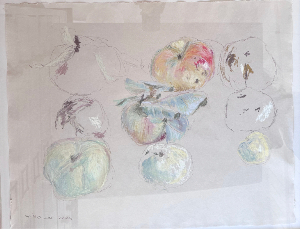 Apples - 2026