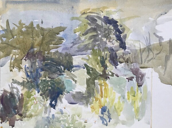 Overgrown garden - 2021
